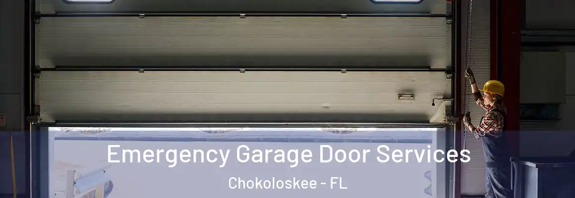  Emergency Garage Door Services Chokoloskee - FL