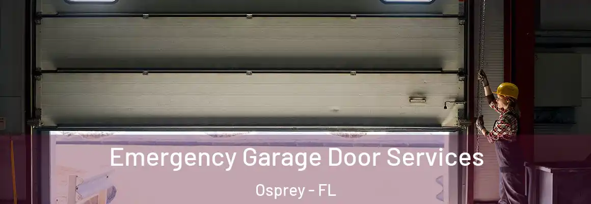  Emergency Garage Door Services Osprey - FL