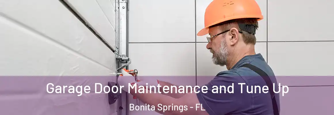  Garage Door Maintenance and Tune Up Bonita Springs - FL