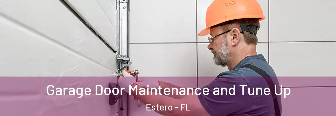  Garage Door Maintenance and Tune Up Estero - FL