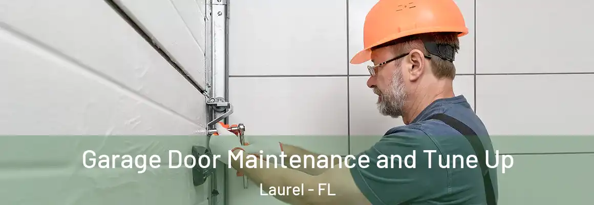  Garage Door Maintenance and Tune Up Laurel - FL