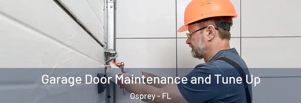  Garage Door Maintenance and Tune Up Osprey - FL