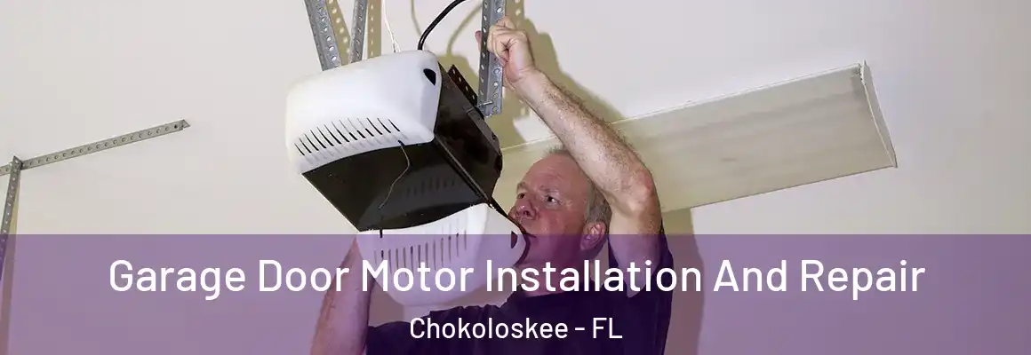  Garage Door Motor Installation And Repair Chokoloskee - FL