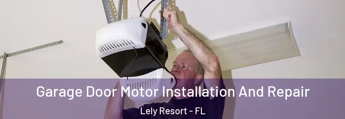  Garage Door Motor Installation And Repair Lely Resort - FL