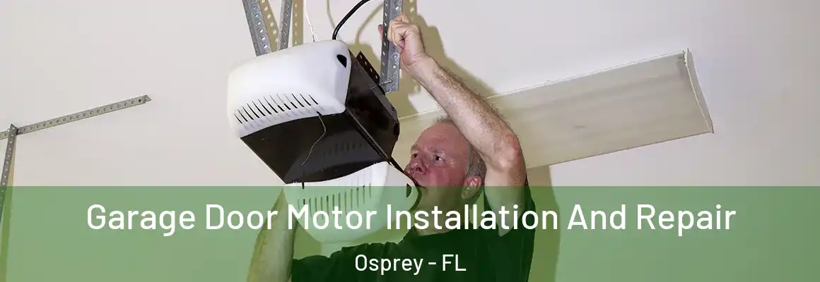  Garage Door Motor Installation And Repair Osprey - FL