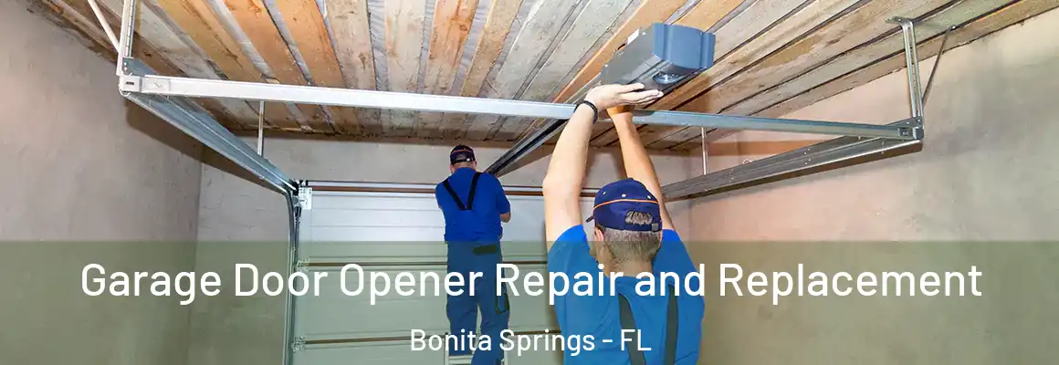  Garage Door Opener Repair and Replacement Bonita Springs - FL