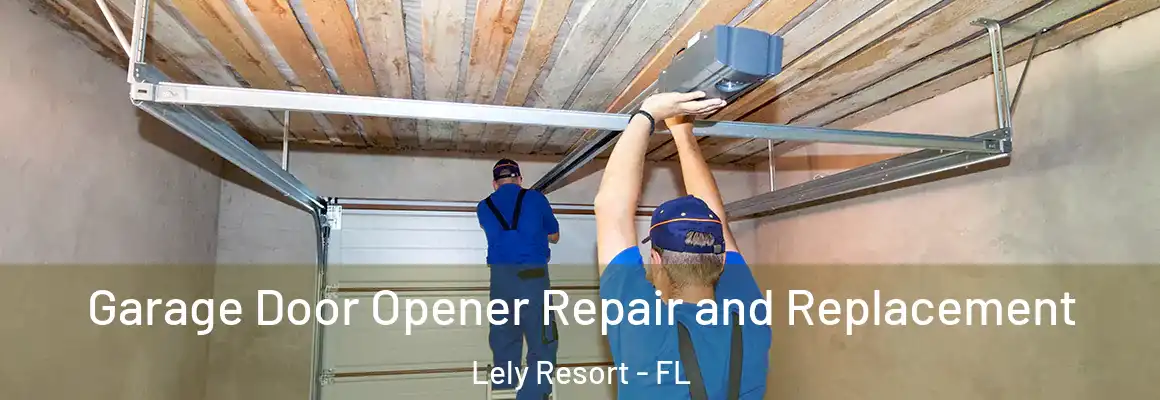  Garage Door Opener Repair and Replacement Lely Resort - FL