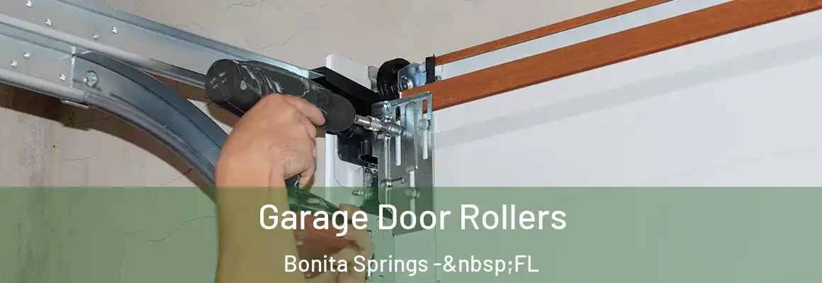  Garage Door Rollers Bonita Springs - FL