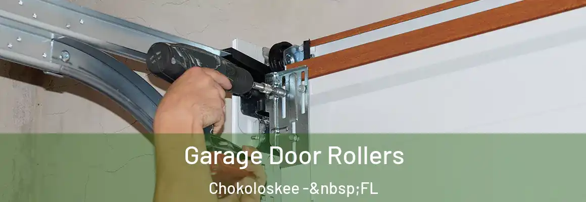  Garage Door Rollers Chokoloskee - FL