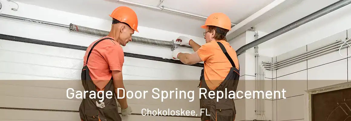  Garage Door Spring Replacement Chokoloskee, FL