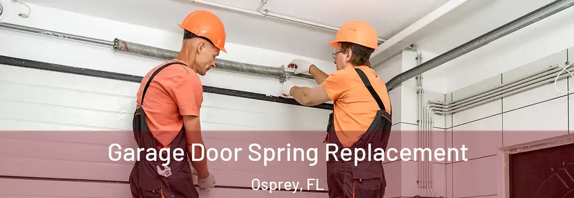  Garage Door Spring Replacement Osprey, FL